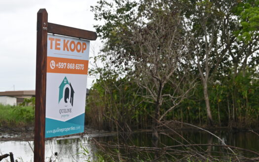 Boserebiaweg 2519, De Nieuwe Grond, Wanica