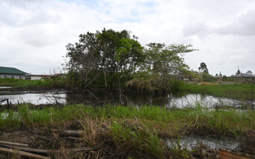 Boserebiaweg 2519, De Nieuwe Grond, Wanica